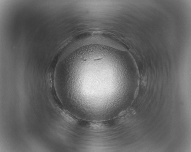 X0000076070666200609221158