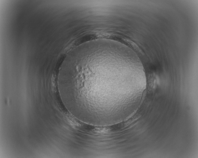 X0000076070667200609221158