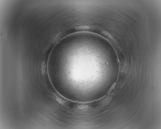 X0000076070669200609221158