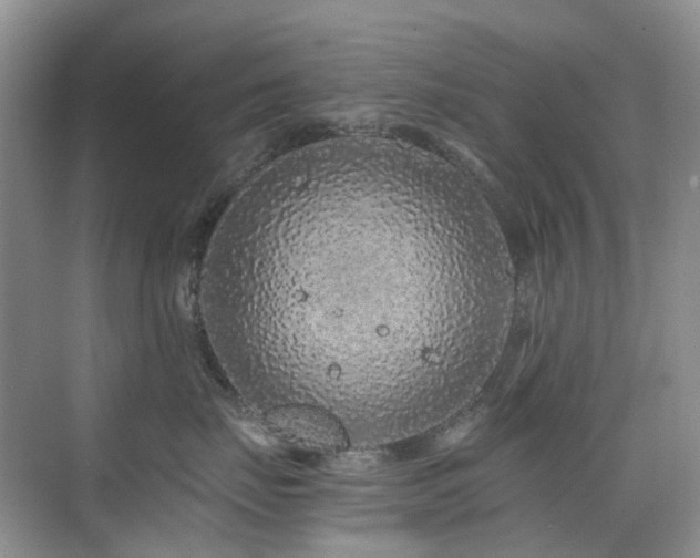 X0000076070671200609221158