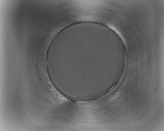 X0000076070673200609221157