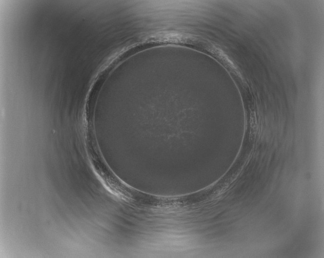 X0000076070674200609221157