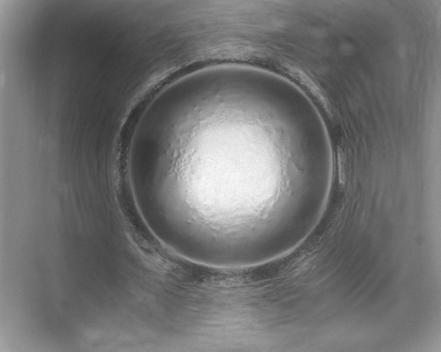 X0000076070675200609221157