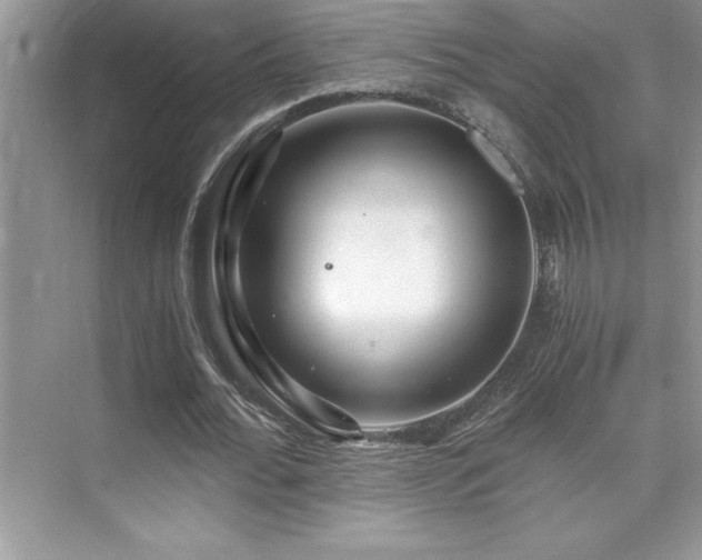 X0000076070676200609221157