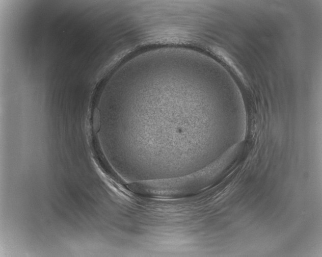 X0000076070677200609221157