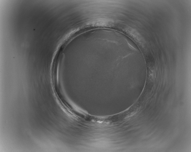 X0000076070678200609221157