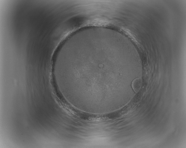 X0000076070679200609221157