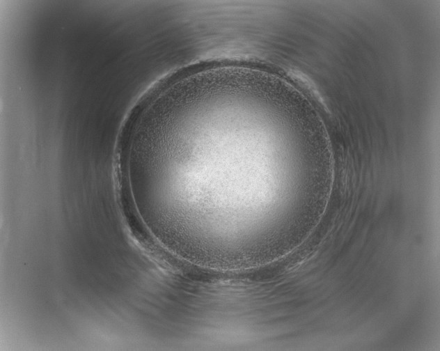 X0000076070680200609221157