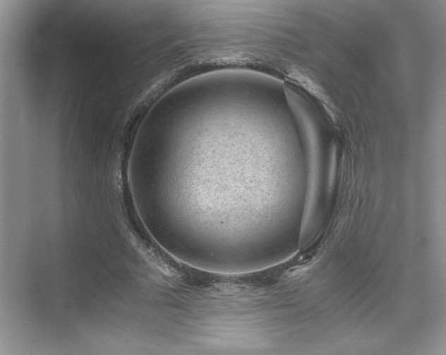 X0000076070681200609221157