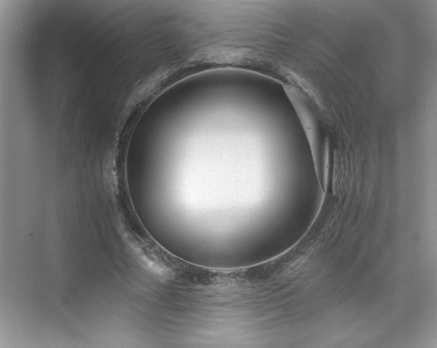 X0000076070682200609221157