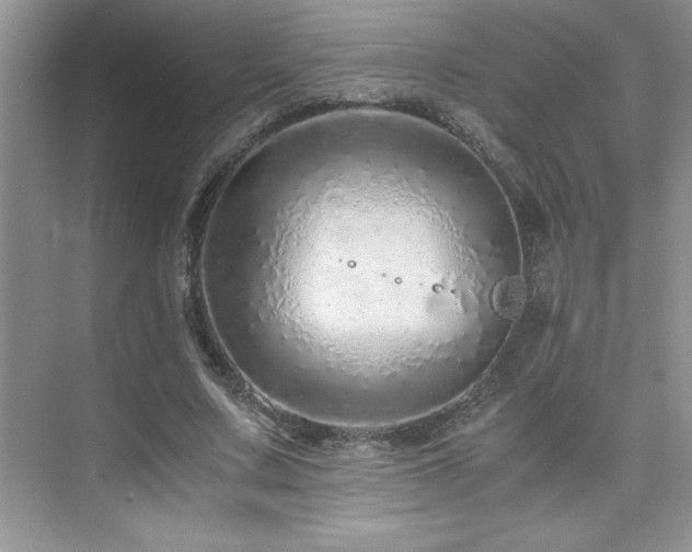 X0000076070683200609221157