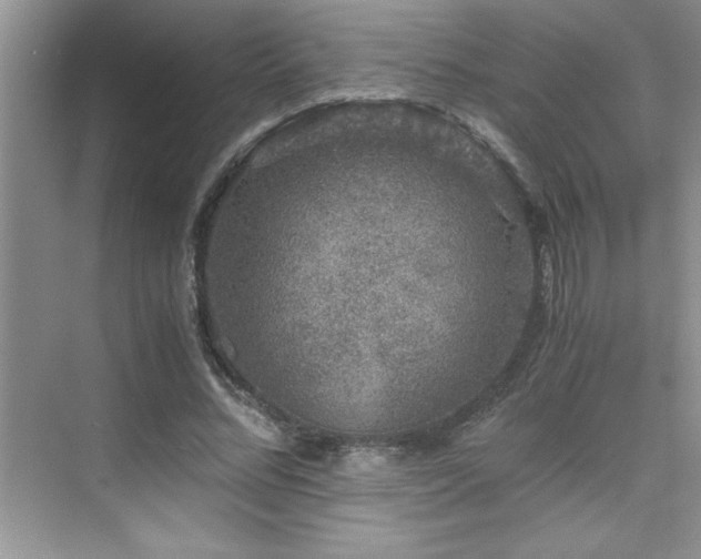 X0000076070684200609221157