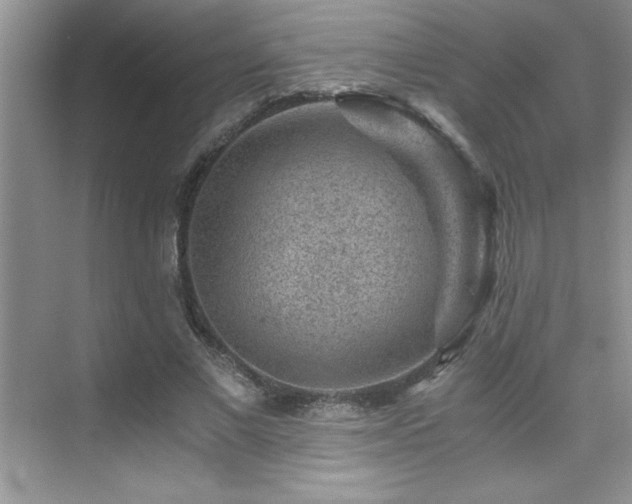 X0000076070685200609221157