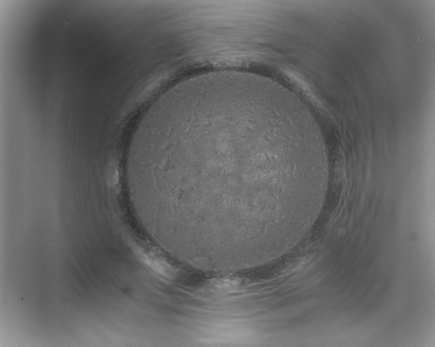 X0000076070687200609221157