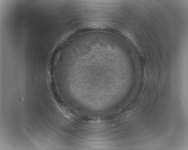 X0000076070688200609221157