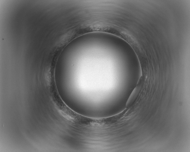 X0000076070690200609221157