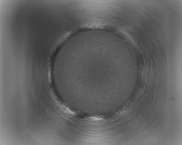 X0000076070692200609221157