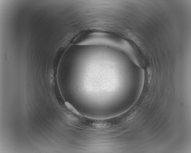 X0000076070693200609221157