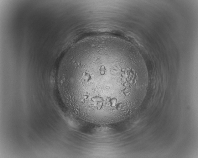 X0000076070695200609221157