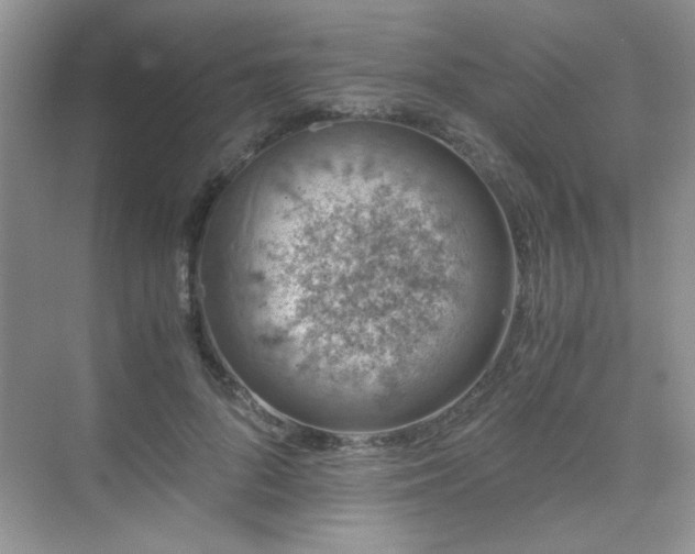 X0000076070696200609221157