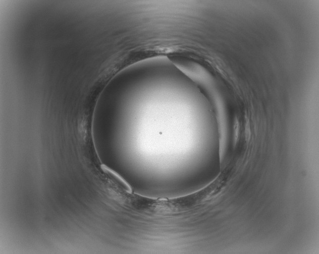 X0000076070697200609221157