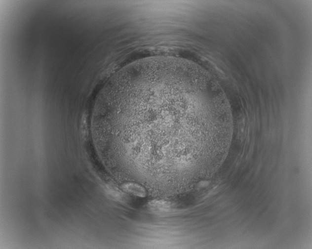 X0000076070699200609221157