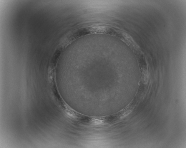 X0000076070701200609221157