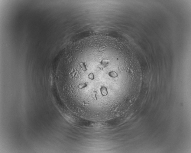 X0000076070703200609221156