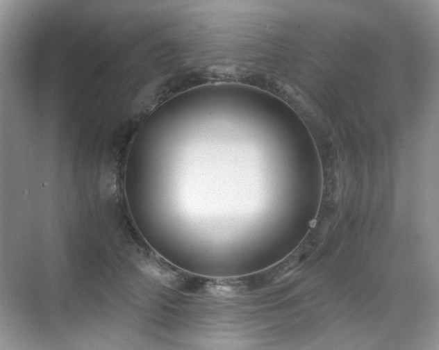 X0000076070706200609221156