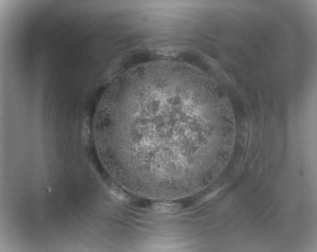 X0000076070707200609221156