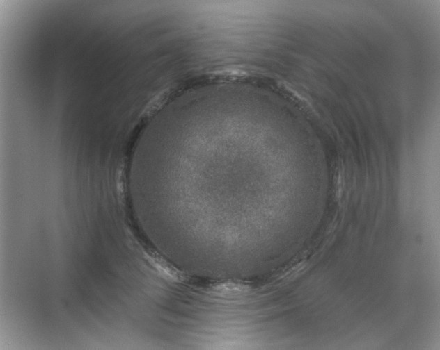 X0000076070708200609221156