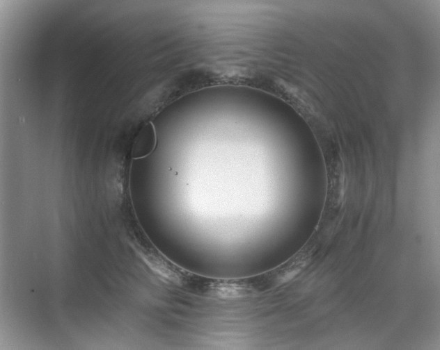 X0000076070710200609221156