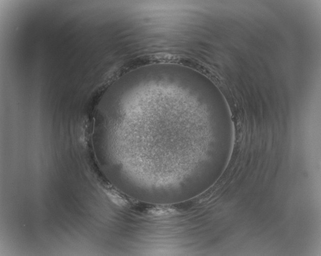 X0000076070712200609221156