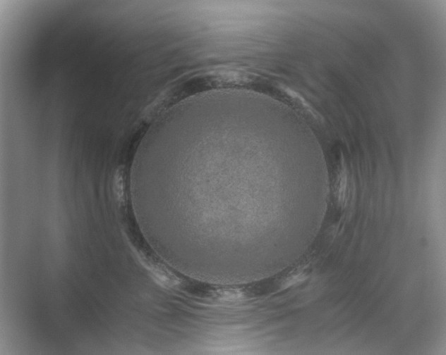 X0000076070715200609221156