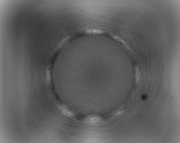 X0000076070716200609221156