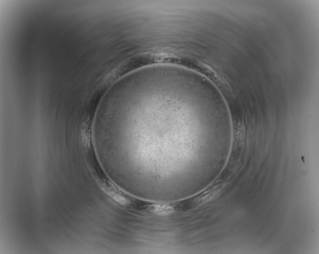 X0000076070719200609221156