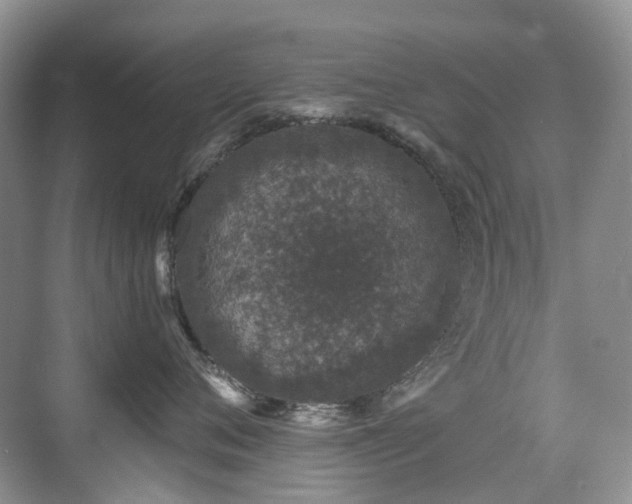 X0000076070720200609221156