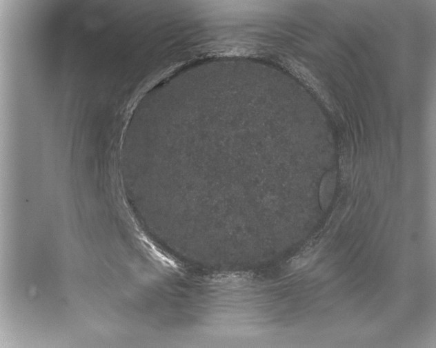 X0000076070721200609221155