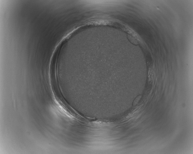 X0000076070722200609221155