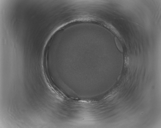 X0000076070724200609221155