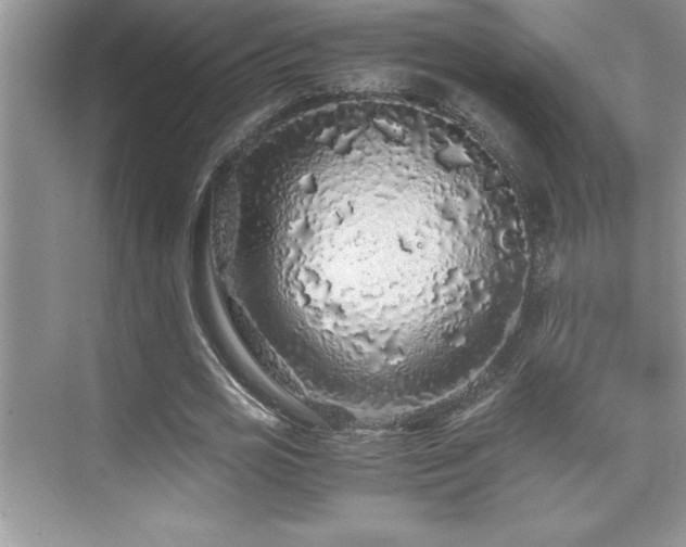 X0000076070725200609221155