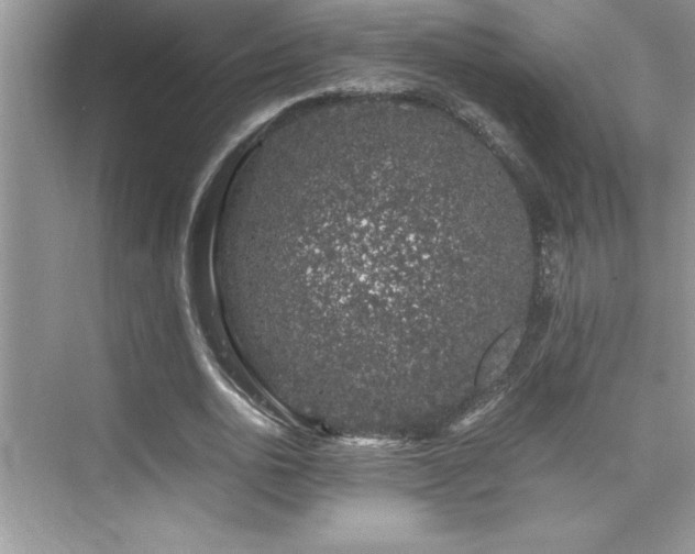 X0000076070726200609221155