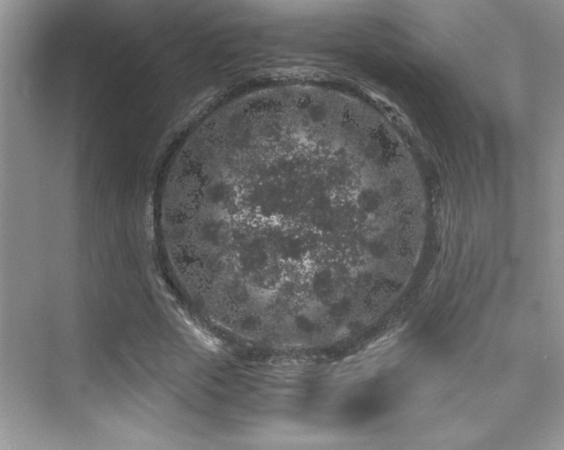 X0000076070729200609221156