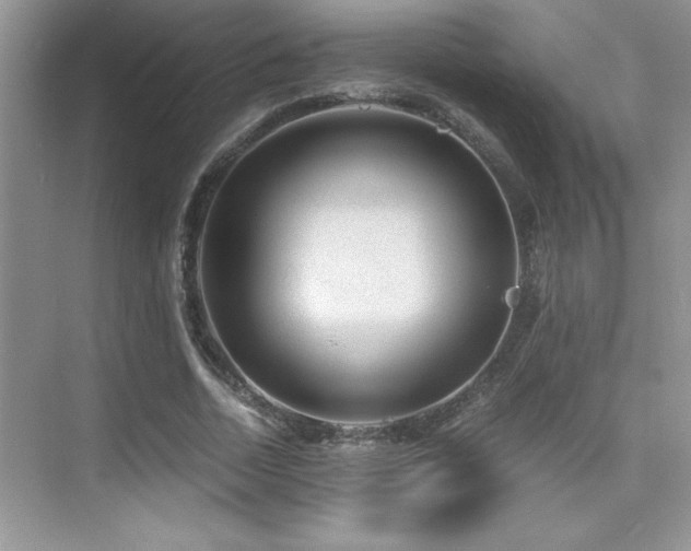 X0000076070730200609221156