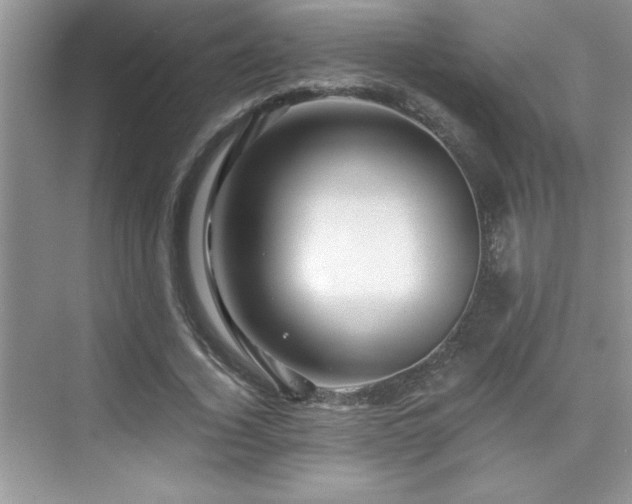 X0000076070732200609221156