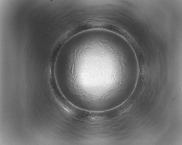 X0000076070733200609221156