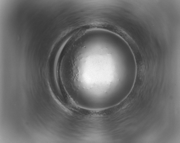 X0000076070734200609221156