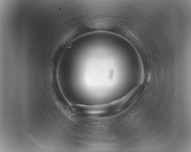 X0000076070735200609221156