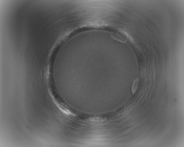 X0000076070736200609221156