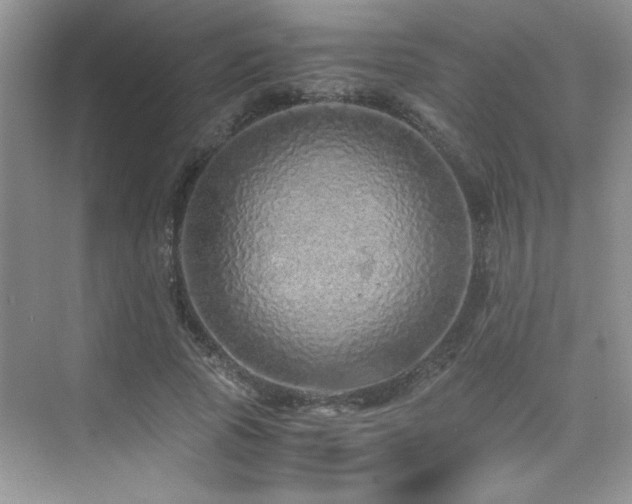 X0000076070737200609221156